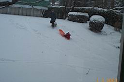 DCP_2361-Tyler-MUSH you hill pull.JPG